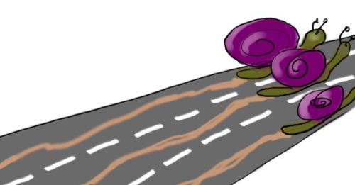 Snigel snigel